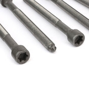 Audi VW Cylinder Head Bolt Set - Elring 06D103385D
