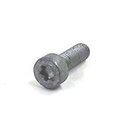 VW Torx Screw - Genuine VW N91084801