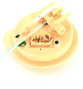Audi VW Fuel Pump Module Cover - Genuine VW Audi 7L8919679J