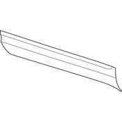 Volkswagen Door Molding - Genuine VW 3CN854940F9B9