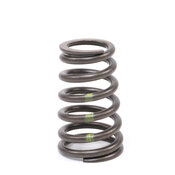 Volvo Engine Exhaust Valve Spring - Genuine Volvo 30684053