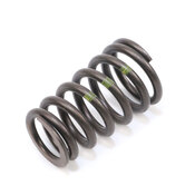 Volvo Engine Exhaust Valve Spring - Genuine Volvo 30684053