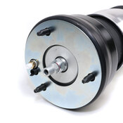 Porsche Suspension Air Strut Assembly - Arnott Industries ASE-4386