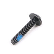 BMW Oval-Head Screw Self-Locking (M5X25 Znfe Sw) - Genuine BMW 07147118984