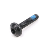 BMW Oval-Head Screw Self-Locking (M5X25 Znfe Sw) - Genuine BMW 07147118984