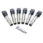 Audi Ignition Coil Kit - Eldor 022905715BKT15