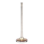 Audi VW Intake Valve - TRW 06K109601