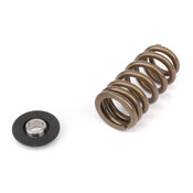 Audi Porsche VW Engine Valve Spring Set - APR MS100258
