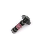 BMW Torx Screw (M6X20 T30) - Genuine BMW 07149168393