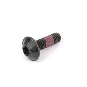 BMW Torx Screw (M6X20 T30) - Genuine BMW 07149168393