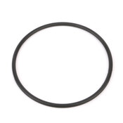 BMW Fuel Injection Throttle Body O-Ring - Reinz 13547792098