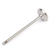 BMW Engine Intake Valve - TRW 11347583777
