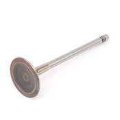 Audi VW Intake Valve - TRW 06E109601F