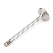Volvo Intake Valve - TRW 1397641
