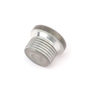 Porsche Engine Oil Drain Plug - Genuine Porsche PAF008309A