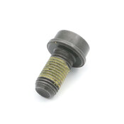 Volvo Flex Plate Mounting Bolt - Genuine Volvo 31401241