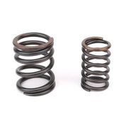 Porsche Engine Valve Spring Set - OE Supplier 90110590151