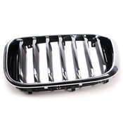 BMW Grille - Genuine BMW 51137464919