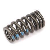 Audi VW Engine Valve Spring - Genuine VW Audi 03H109623C