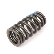 Audi VW Engine Valve Spring - Genuine VW Audi 03H109623C