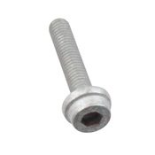 VW Fuel Rail Bolt - Genuine VW  N10248804