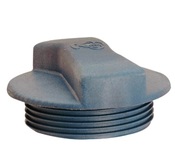 Audi R8 Coolant Cap - OE Supplier 420121321