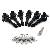 Porsche Ignition Coil Kit - Bremi 986IGNKT
