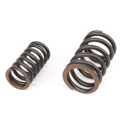 Porsche Engine Valve Spring - OE Supplier 95110590510