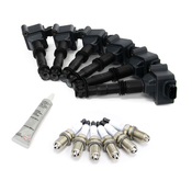Porsche Ignition Coil Kit - Bremi/Beru 20737