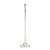Volvo Engine Exhaust Valve - TRW 31480436