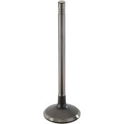 Volvo Engine Intake Valve - TRW 9454608