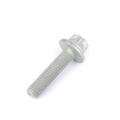 BMW Hexalobular Socket Screw (Bm6 X 25) - Genuine BMW 07119908428