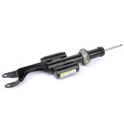 Mercedes Suspension Strut -  Genuine Mercedes 2053208602