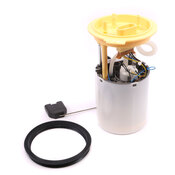 VW Fuel Pump Assembly - Delphi 3AA919050L