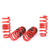 BMW Coil Spring Lowering Kit - AST Suspension ASTLS-24-146