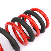 BMW Coil Spring Lowering Kit - AST Suspension ASTLS-24-146