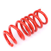 BMW Coil Spring Lowering Kit - AST Suspension ASTLS-24-146