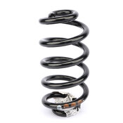 Audi Coil Spring Rear (A4 A4 Quattro S4 RS4) - Genuine Audi 8E0511115FN