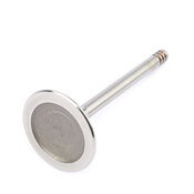 Audi VW Intake Valve - TRW 078109601E