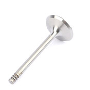 Audi VW Intake Valve - TRW 078109601E