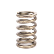 Volvo Valve Spring - Genuine Volvo 9135131