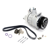 VW A/C Compressor Kit - Sanden KIT-02883