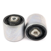 BMW Tension Strut Bushing Kit - Lemforder 31126768818