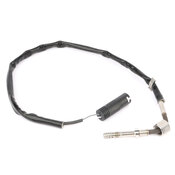 BMW EGT Sensor - OE Supplier 11787831624