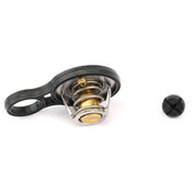 Mini Engine Coolant Thermostat- Rein 11537596787