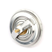 BMW Engine Coolant Thermostat - Wahler 423692D