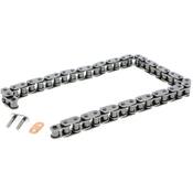 Mercedes-Benz Engine Oil Pump Chain - INA 0039978894