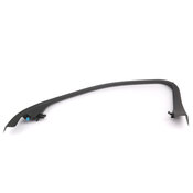 Volvo Door Window Molding - Genuine Volvo 31455058