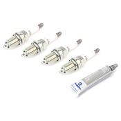 VW Spark Plug Kit - NGK KIT-02924
