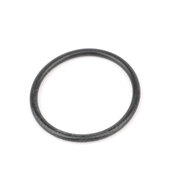 BMW Auto Trans Oil Pump O-Ring - ZF 24201423387